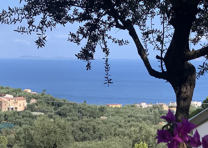 Giovanna 2* سورينتو