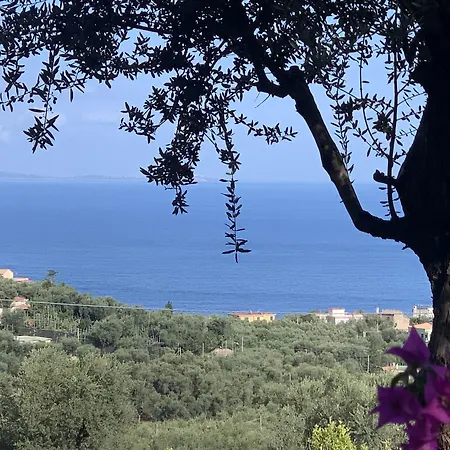 Giovanna 2* סורנטו