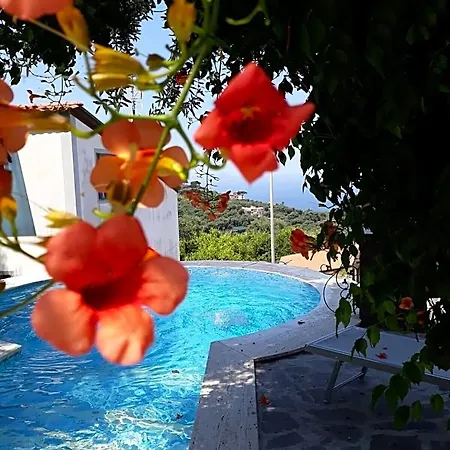 Giovanna Hotel 2*